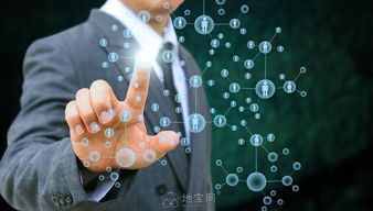 软件外包公司怎么样